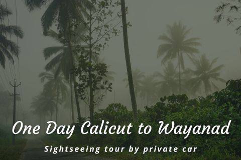 One Day Kozhikode to Wayanad Tour by Taxi