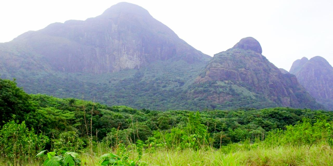 Agasthyakoodam Peak, Trivandrum