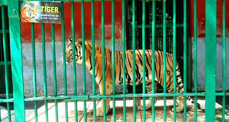 Thiruvananthapuram Zoo (Timings, History, Entry Fee, Images & Information)  - Kerala Tourism 2023