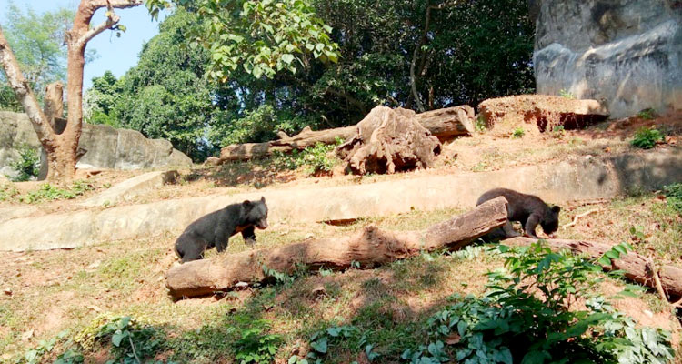 Thiruvananthapuram Zoo (Timings, History, Entry Fee, Images & Information)  - Kerala Tourism 2023