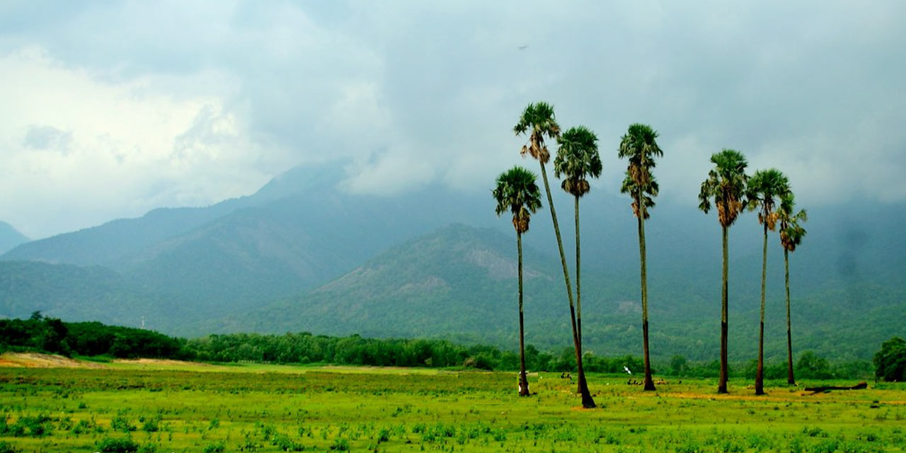 palakkad tourism