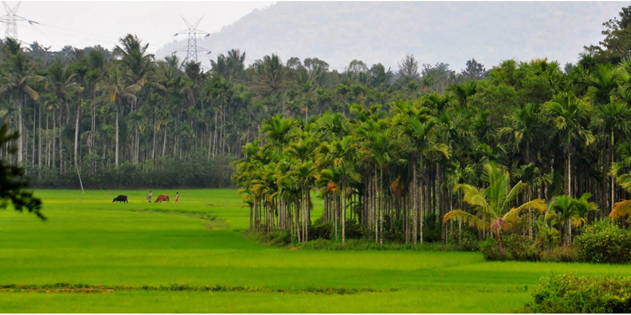 sulthan bathery wayanad places to visit
