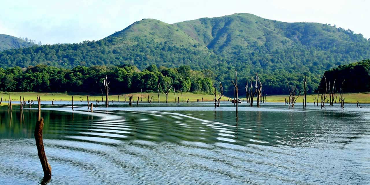 thekkady tourist shopping