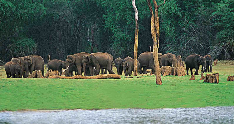 Chinnar Wildlife Sanctuary