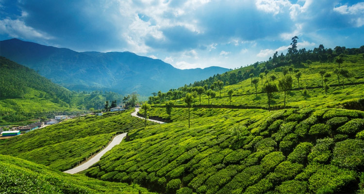 tourist place at idukki