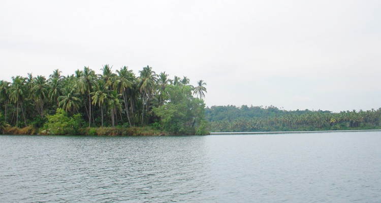 Valapattanam Backwaters