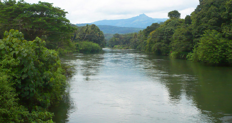 Vazhikkadavu