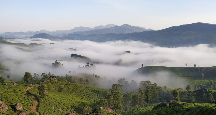 places to visit in munnar devikulam