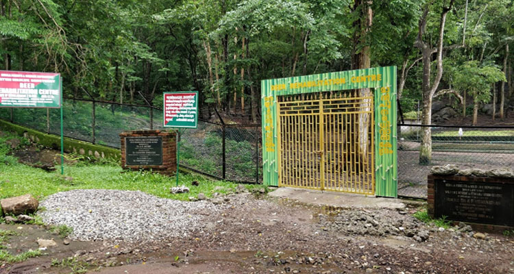 Deer Rehabilitation Centre Thenmala