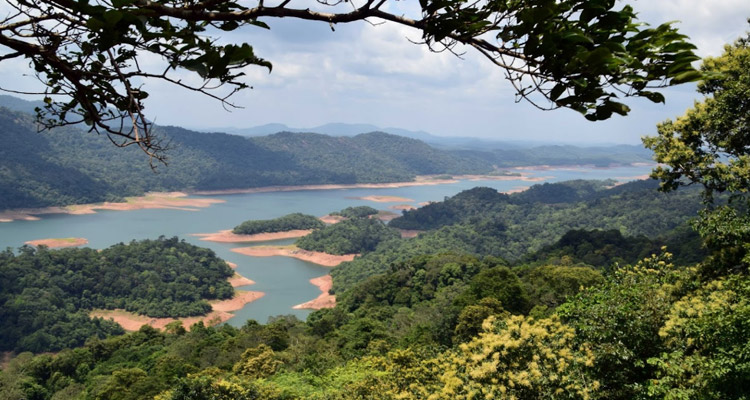 tourist attractions in thenmala