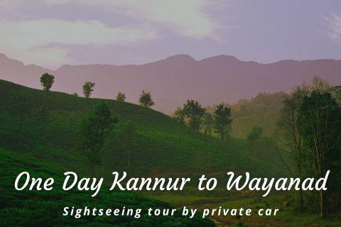 One Day Kannur to Wayanad Trip by Cab