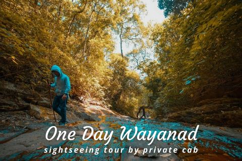 One Day Wayanad Local Sightseeing Trip by Cab