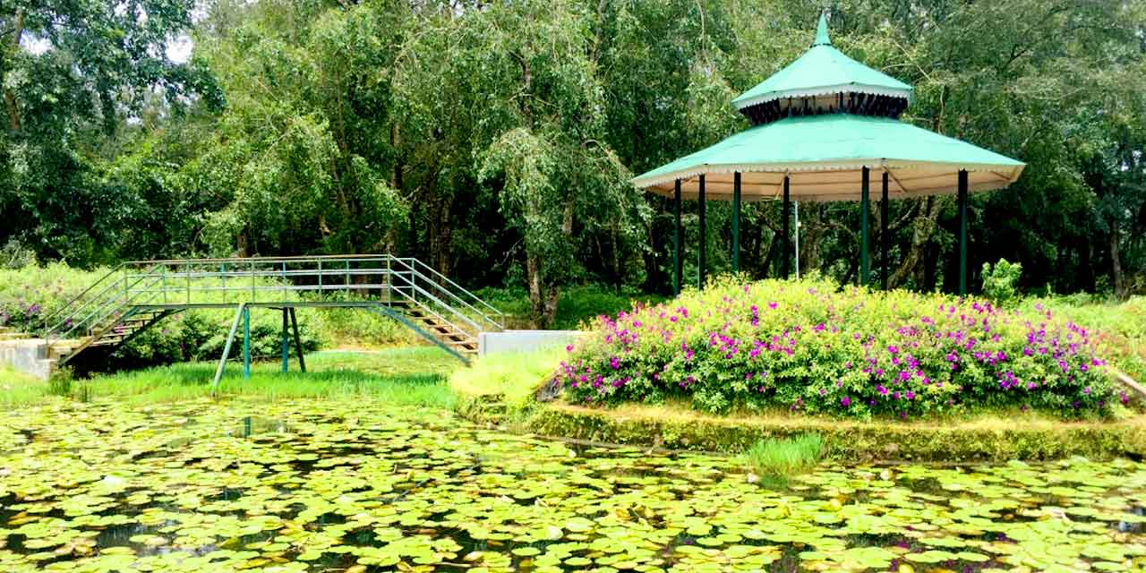 Blossom International Park Munnar (Entry Fee, Timings, Images & Location)