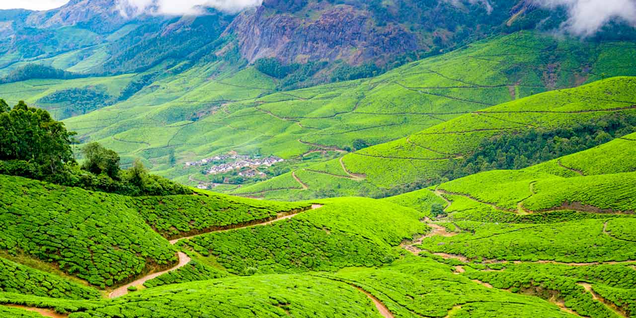 5 Stunning Tea Estates in Munnar | Trawell Blog