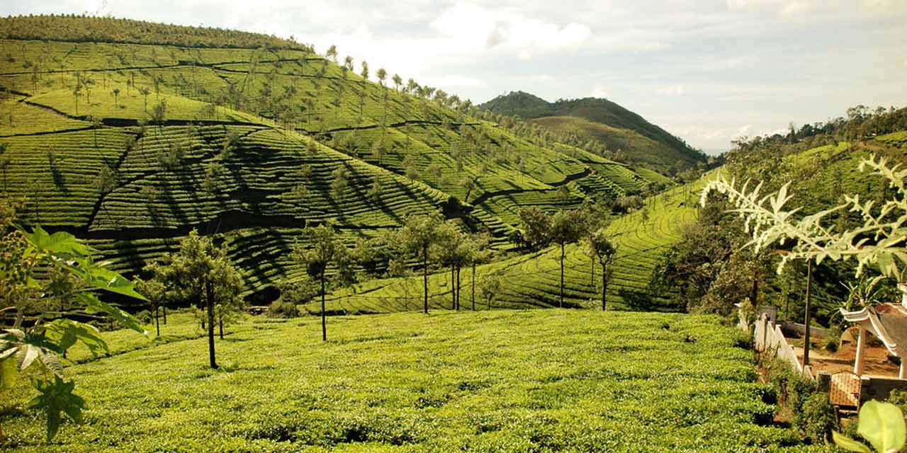  Peermede Thekkady 