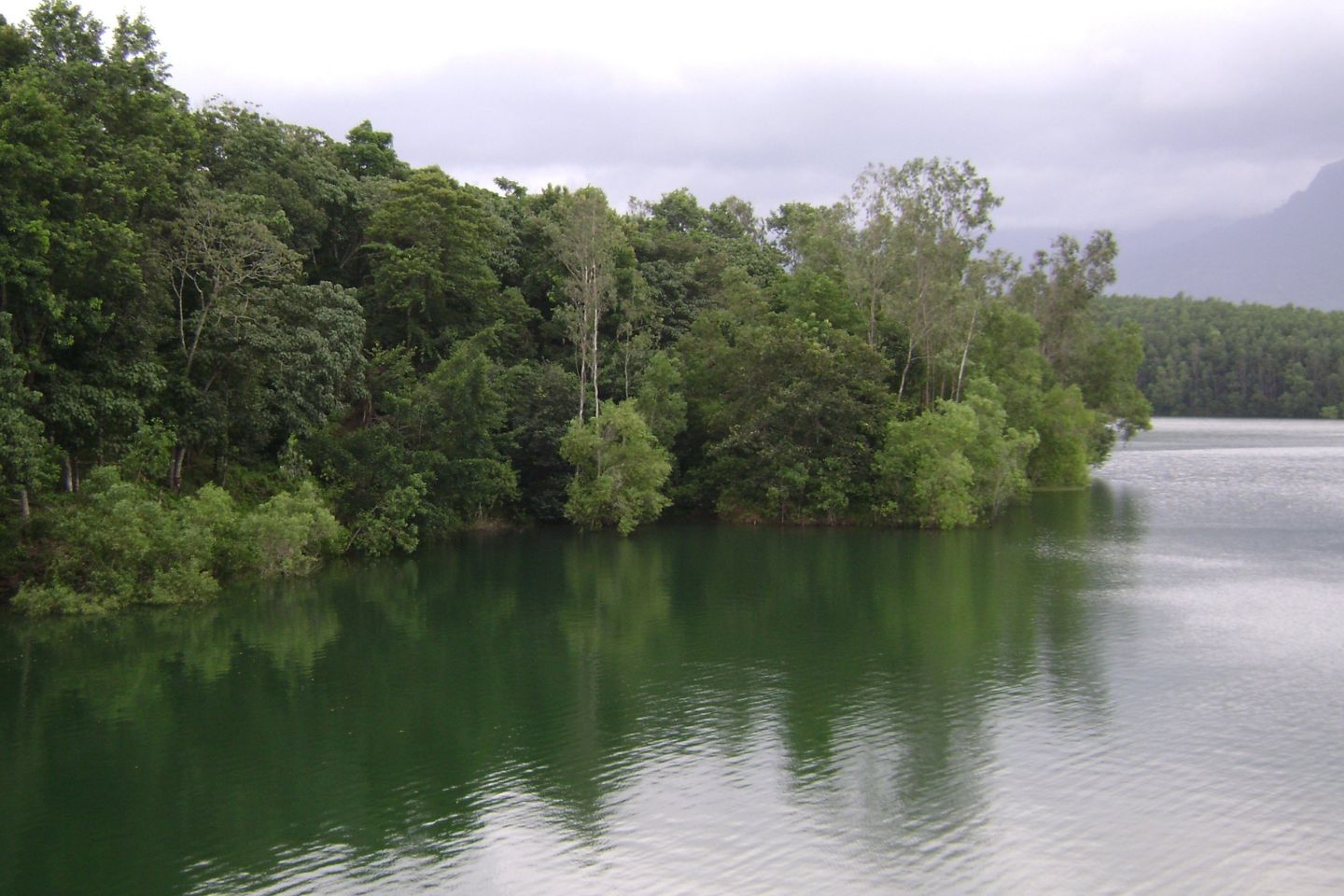 Peppara Wildlife Sanctuary