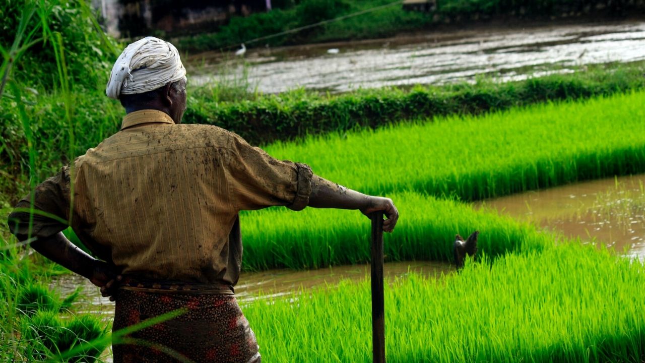 Village Life in Kerala