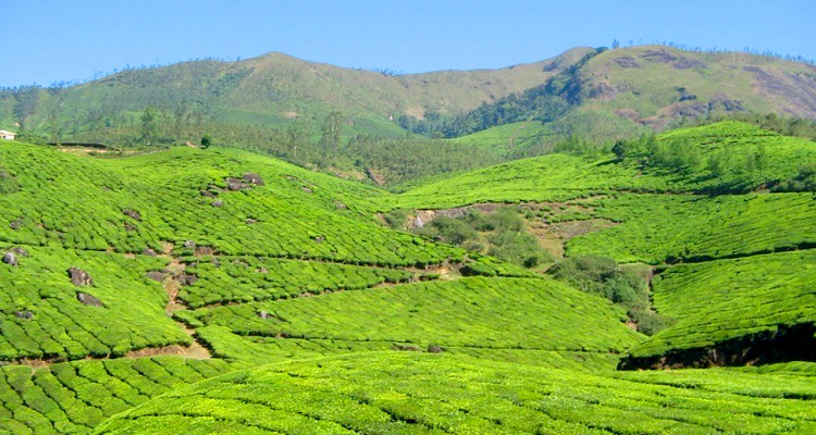 Photo Point Munnar (Timings, History, Entry Fee, Images & Information ...