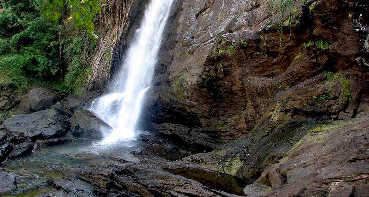 Soochipara Falls Wayanad (Timings, History, Entry Fee, Images ...