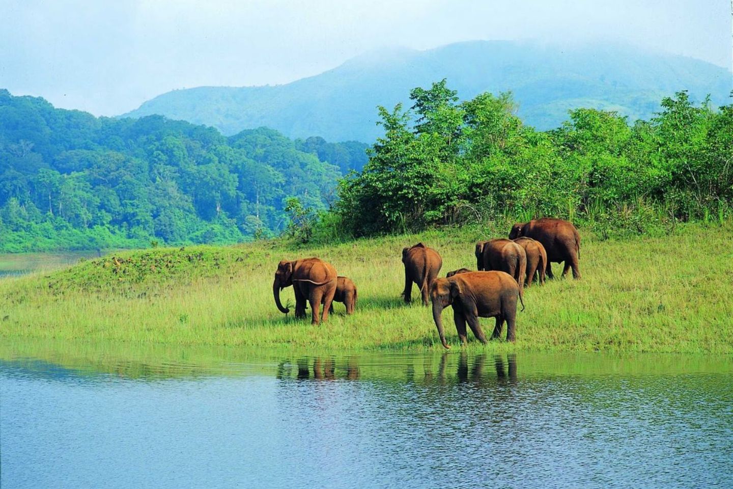 Muthanga Wildlife Sanctuary