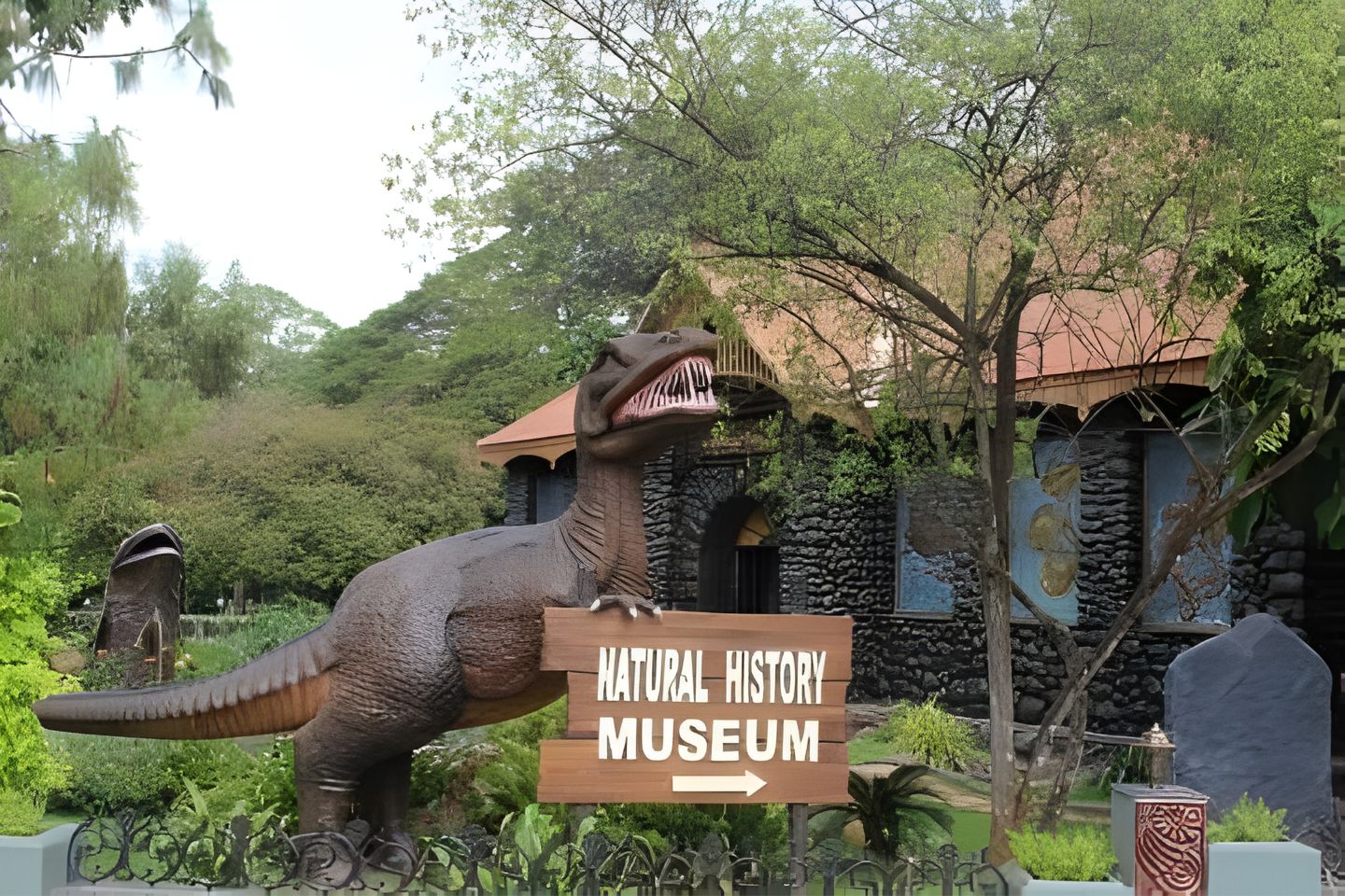 Natural History Museum