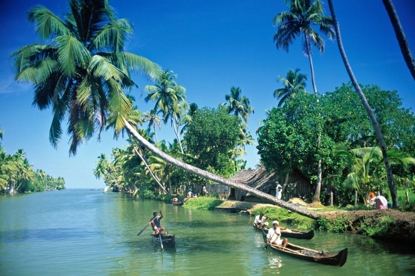 Activities & Things to do in Kerala