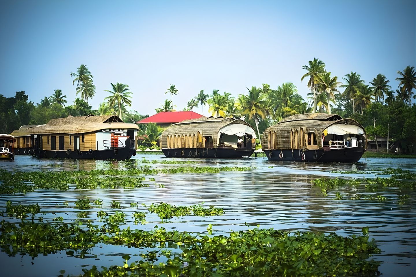 Alleppey Tour Packages with Price & Itinerary