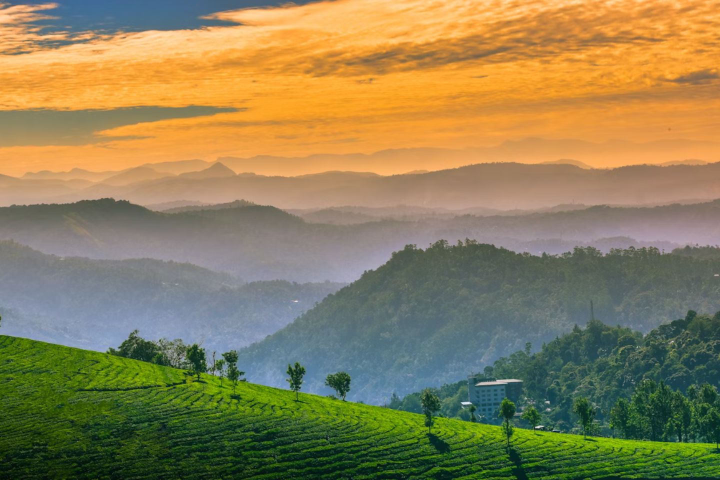 Places to Visit in Munnar | Munnar Tourism