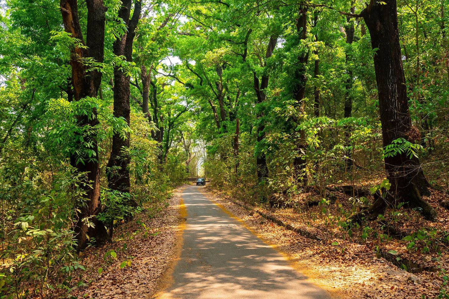 Places to Visit in Nilambur | Nilambur Tourism