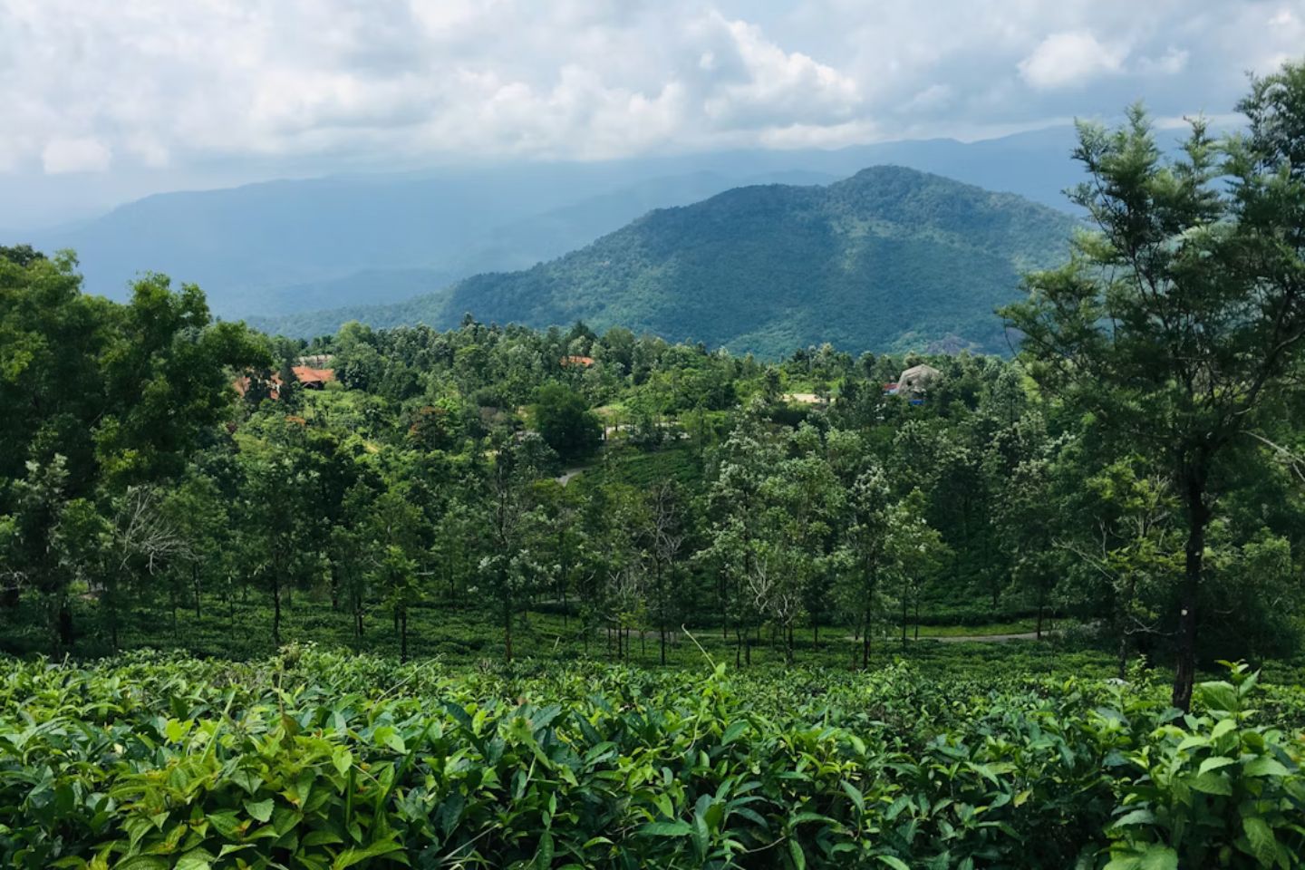 Places to Visit in Ponmudi | Ponmudi Tourism