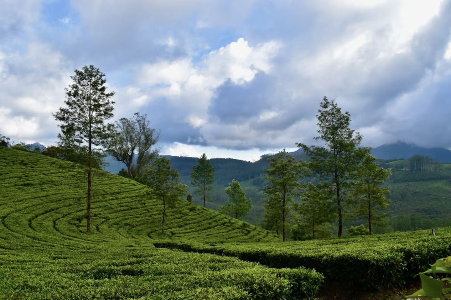 Places to Visit in Thekkady | Thekkady Tourism