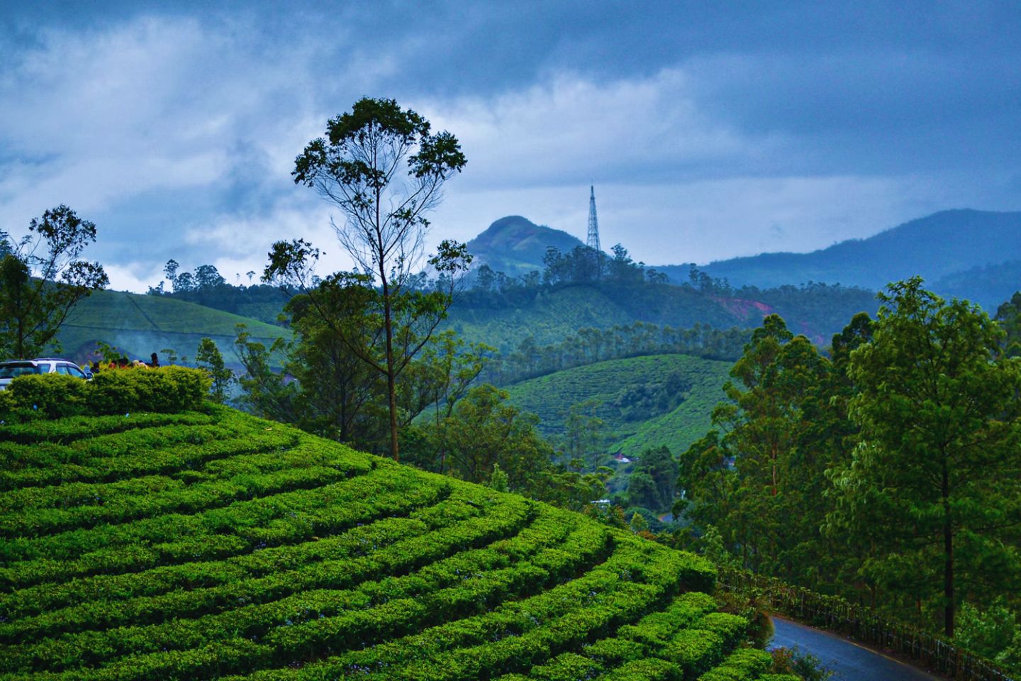 Kerala Climate and Seasons