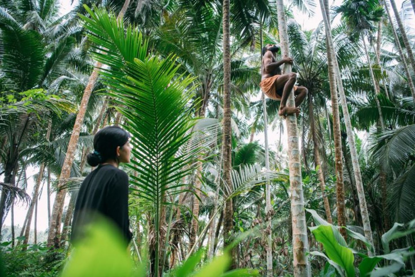 Kerala Tour Packages with Price & Itinerary | Kerala Tourism