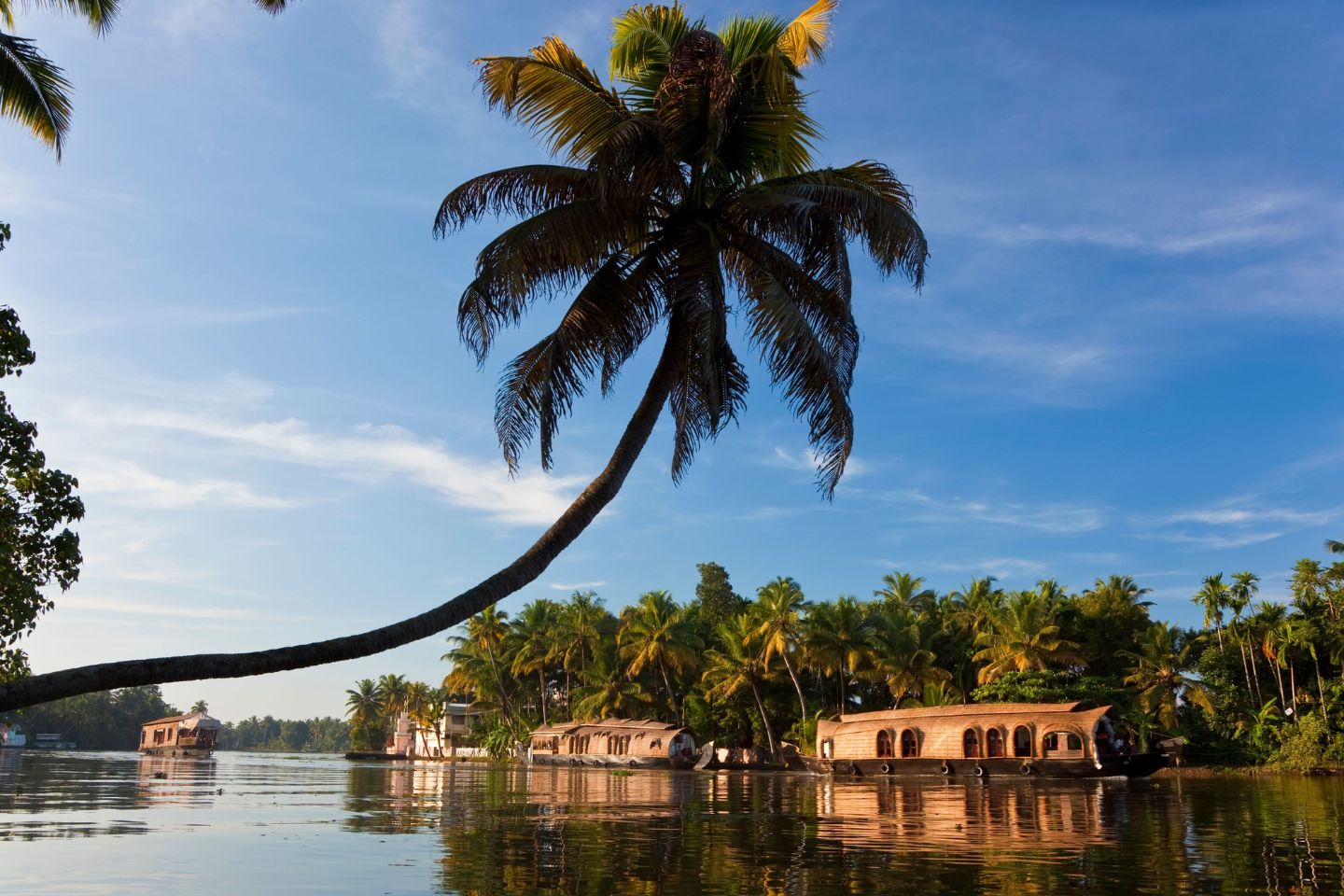Kerala Tourism, Kerala Tour and Honeymoon Packages with Price & Itinerary