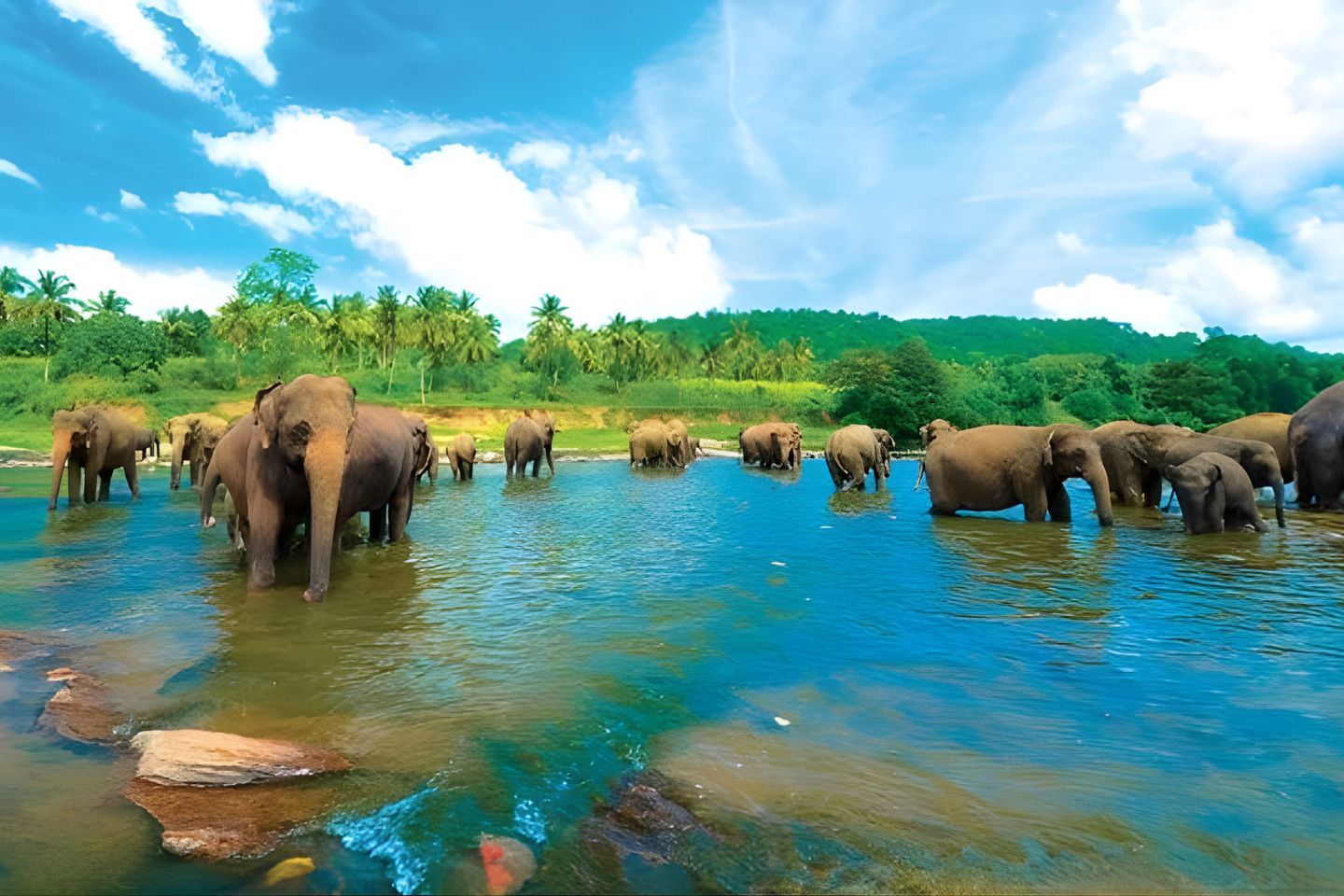 Thekkady Tour Packages with Price & Itinerary