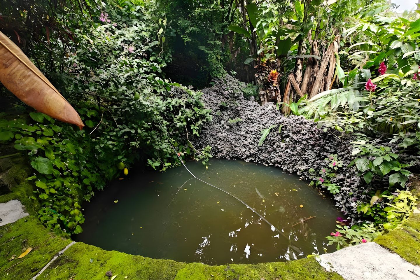 Abraham’s Spice Garden Thekkady 
