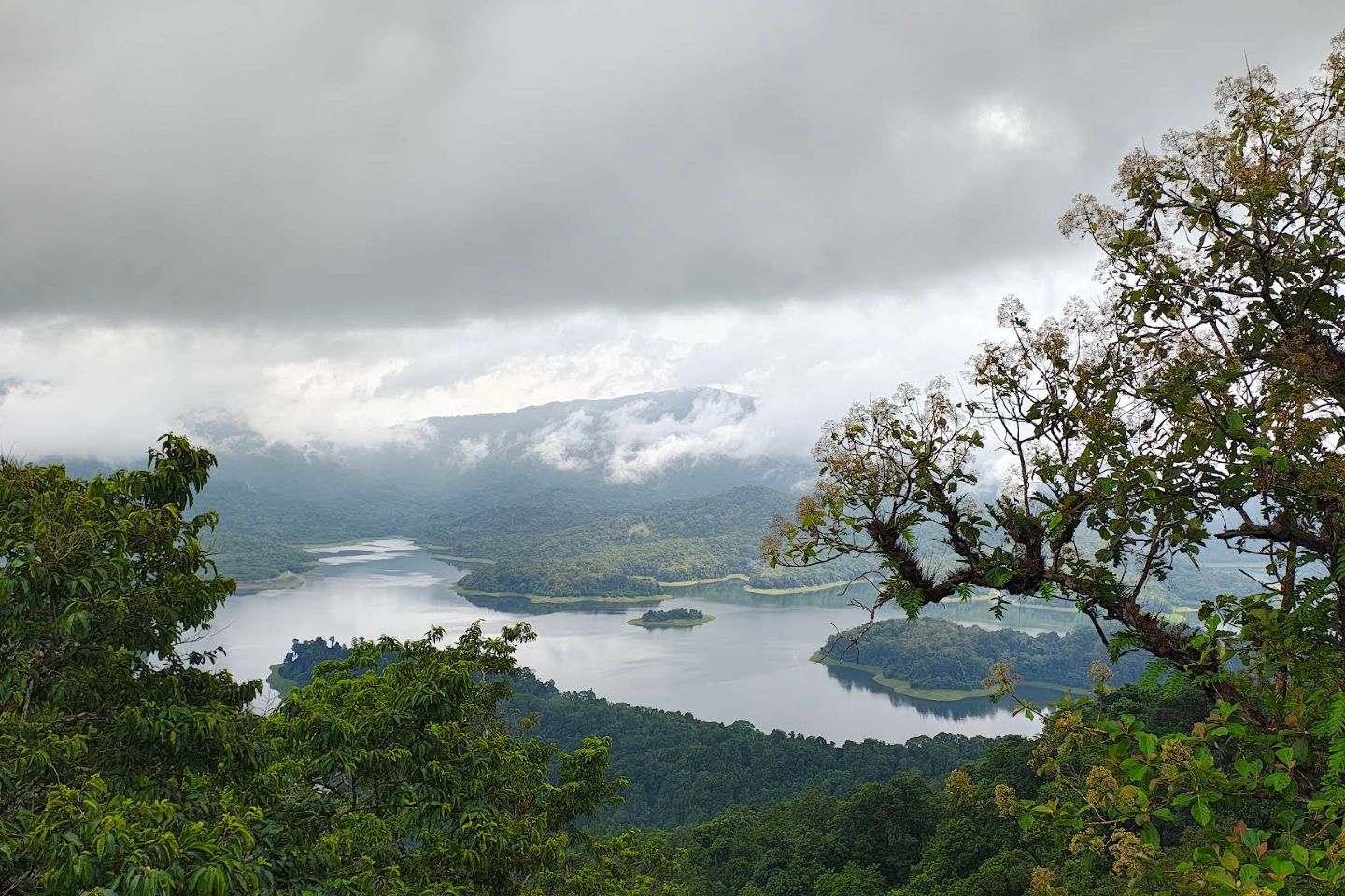 Chimmony Wildlife Sanctuary