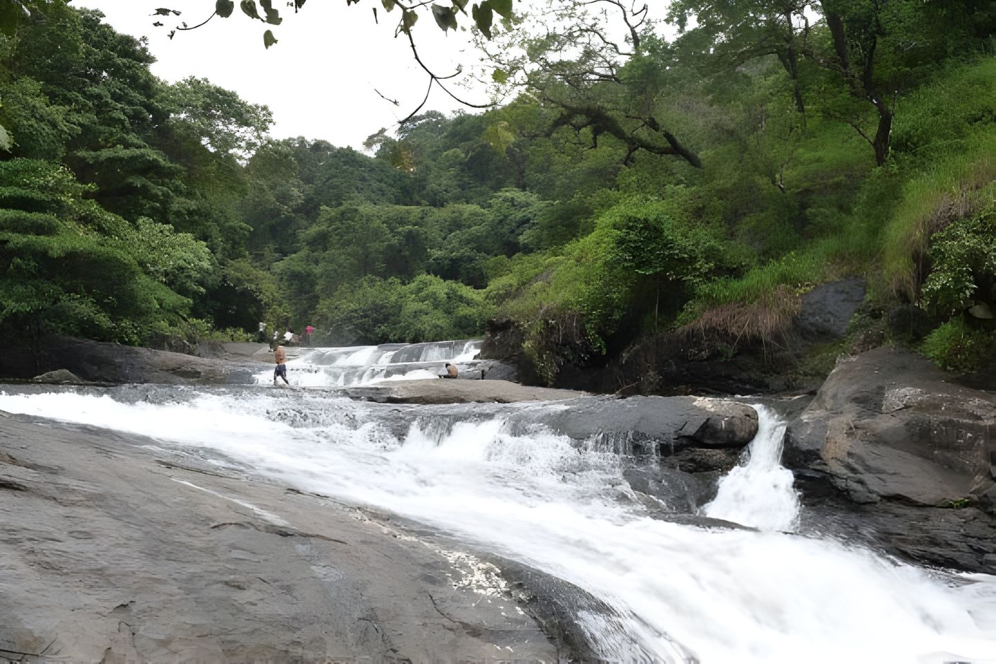 Kozhippara Falls