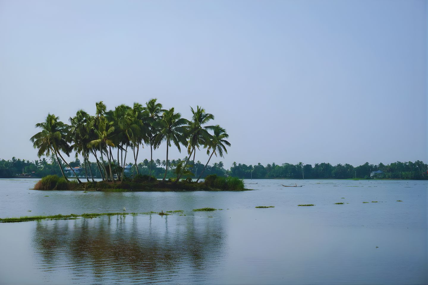 Kuttanad Alleppey