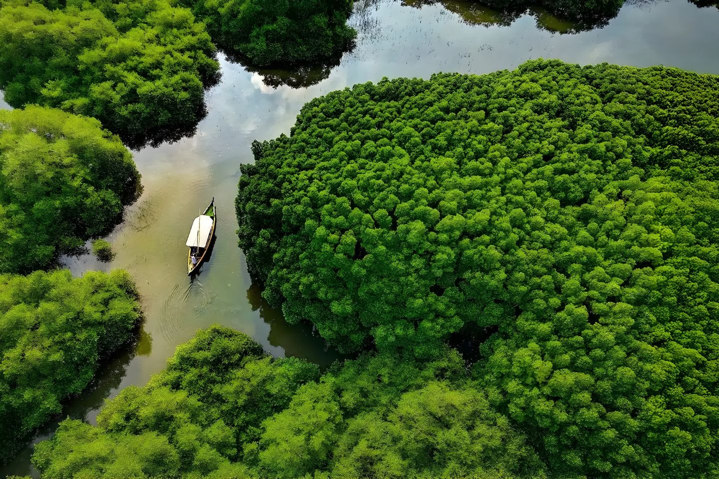 Mangalavanam Bird Sanctuary