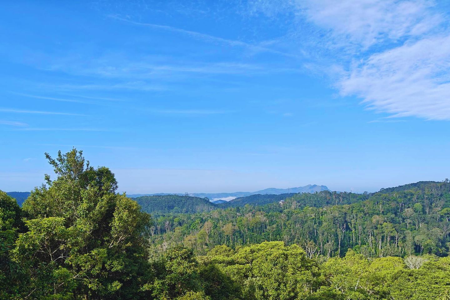 Ottakathalamedu Thekkady