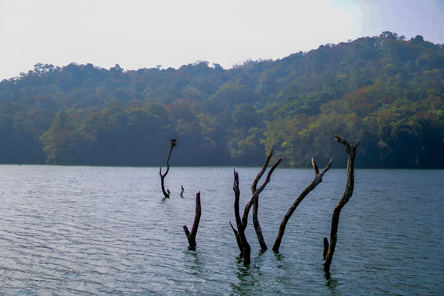 Periyar Lake Thekkady