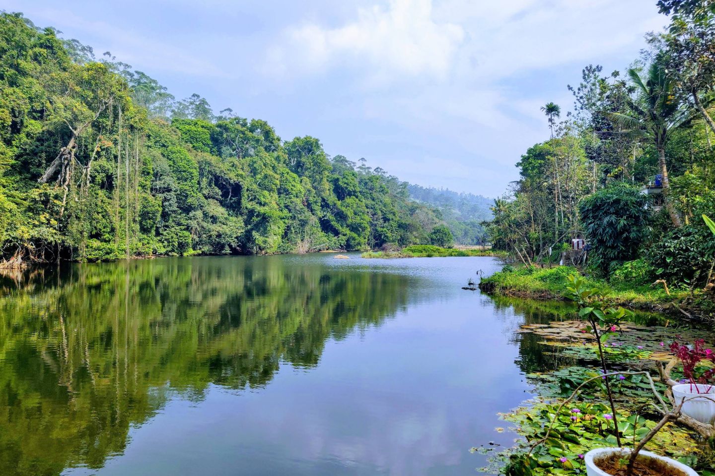  Periyar Wildlife Sanctuary Thekkady