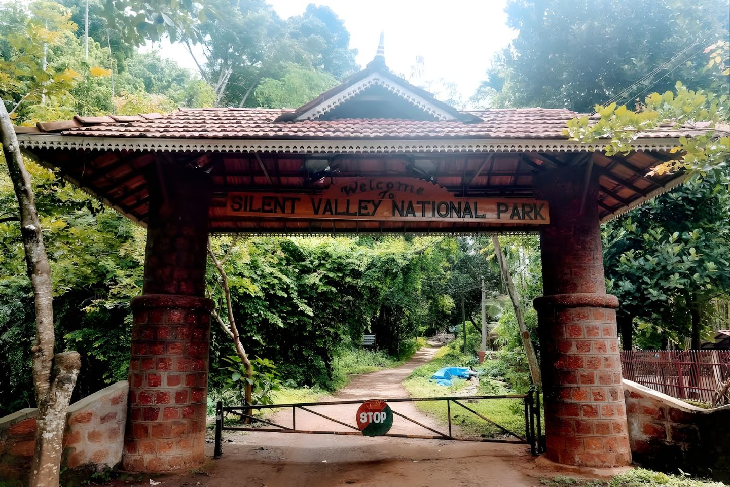 Silent Valley National Park Palakkad (Entry Fee, Timings, Safari, Best time to visit, Images, Facts & Location)
