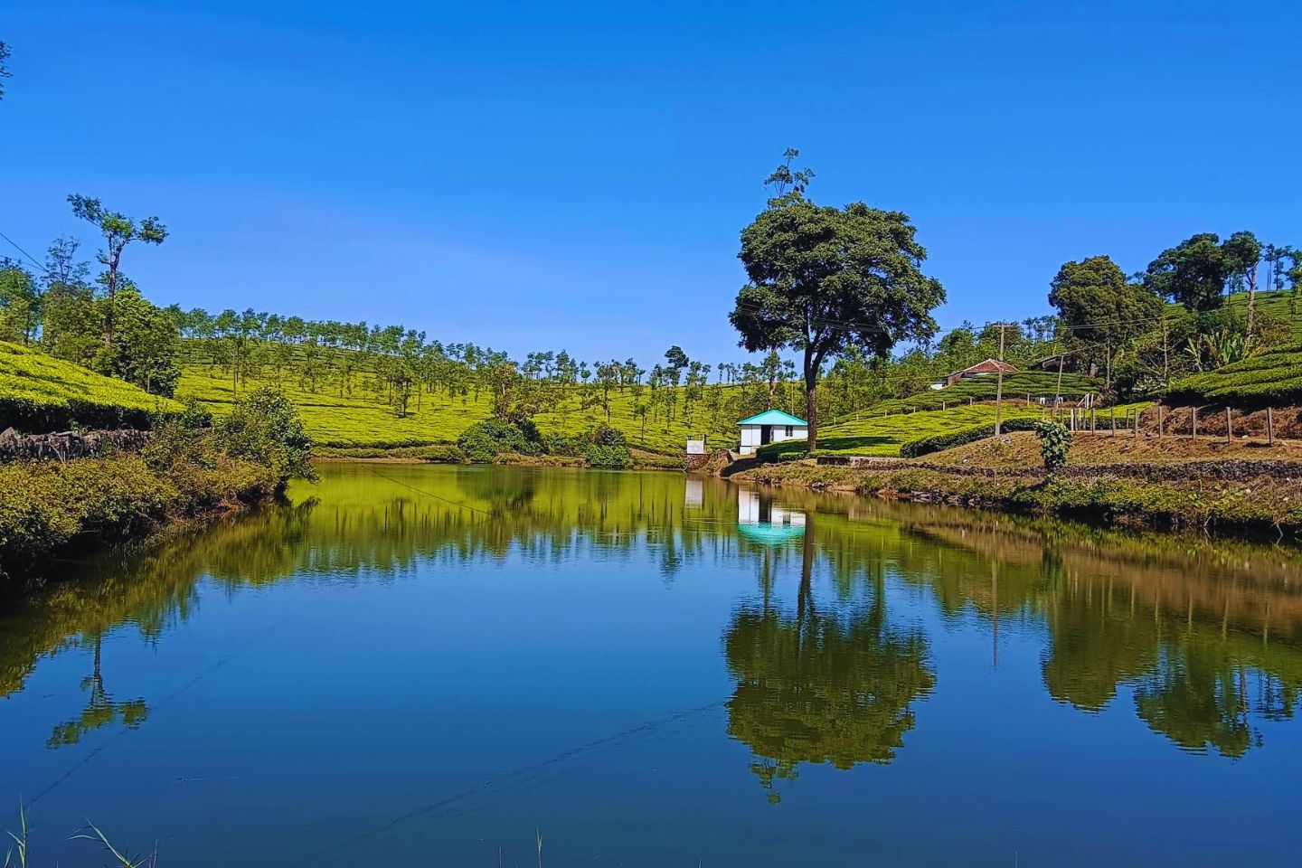Vandiperiyar Thekkady
